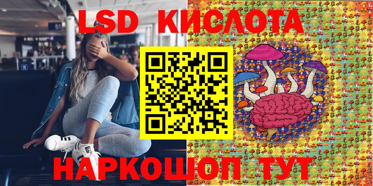 Псилоцибиновые грибы Медногорск