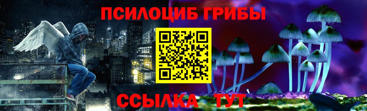Псилоцибиновые грибы прущие грибы Медногорск